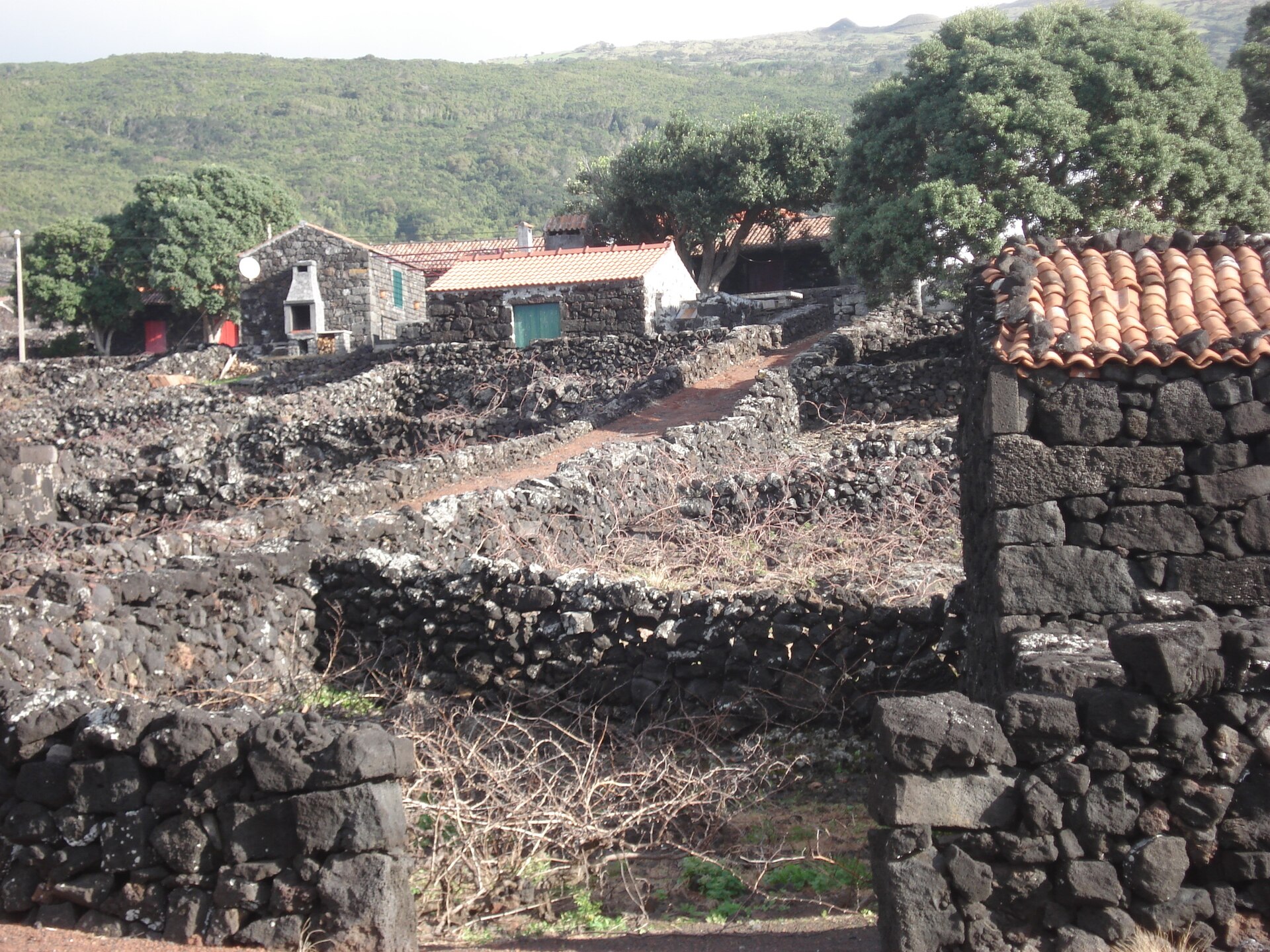 Small stone cottages, the Azorean adegas, in the fields at Candelária