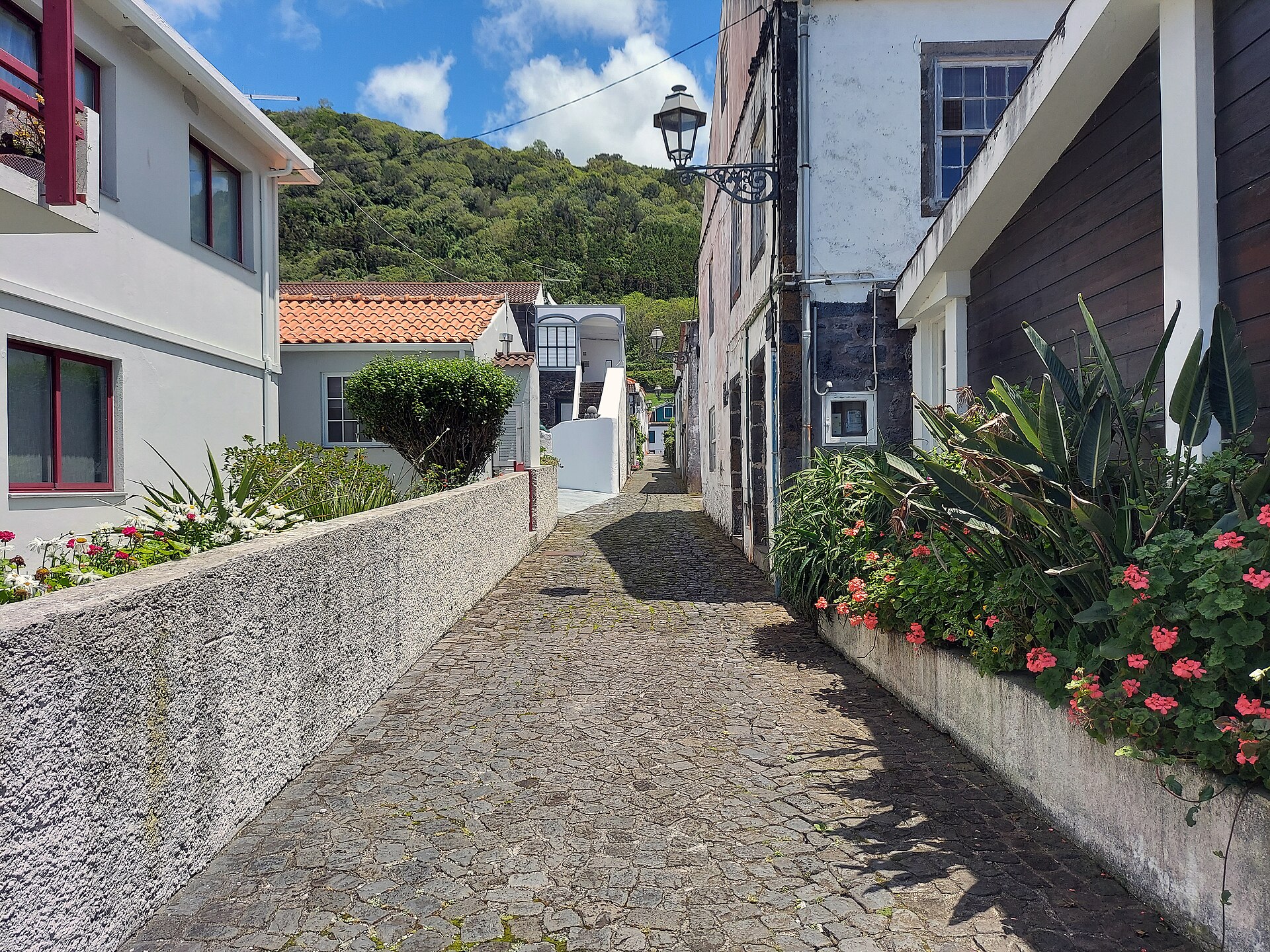 Rooftops and the bay at Lajes do Pico