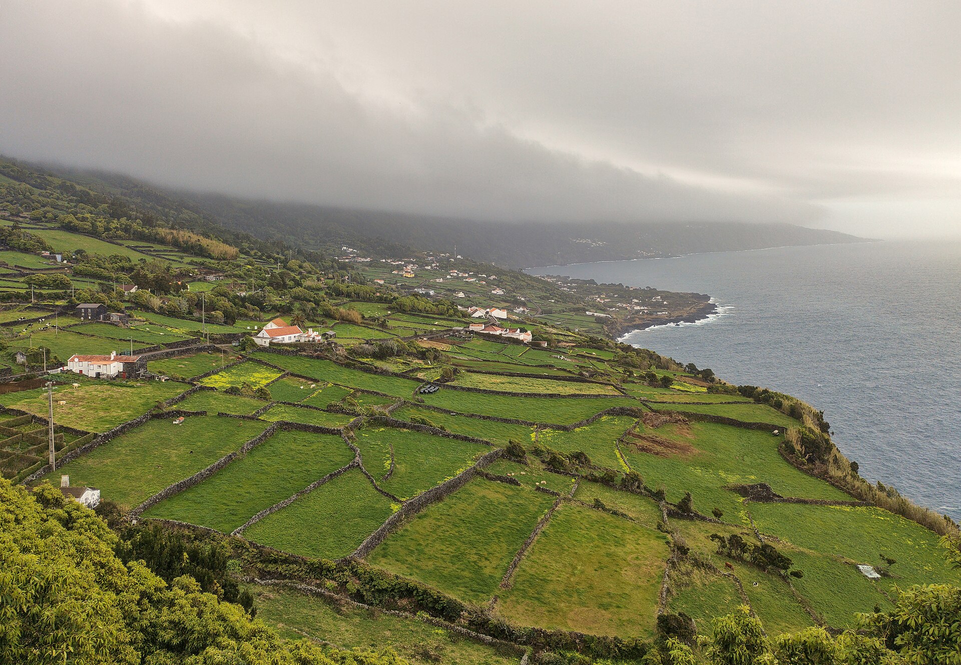The waterfront at Lajes do Pico, the south-coast town where whale watching boats depart